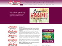 The Florist Shop, Furniture Shop, Pine Furniture, Kitchen Shop The Florist Shop, Furniture Shop, Pine Furniture, Kitchen Shop