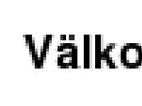 gå till webbplats gå till webbplats
