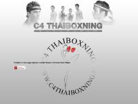  thai, thai boxning, boxning, kristianstad