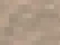 c82packet - C-82 Packet c82packet - C-82 Packet