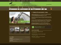  Ablauf und Kosten, Erfolgsaussichten, Referenzen, Pferdemarkt