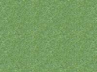 N E T W O R K O P E N 2 0 0 5 N E T W O R K O P E N 2 0 0 5