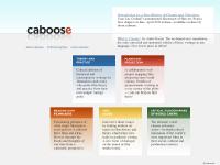  Fascinating glimpses, Innovative short essays