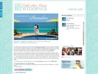 Cabo San Lucas Weddings