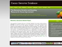 Welcome to the Cacao Genome Project | Cacao Genome Database