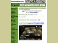 On-line Guide to the positive identification of Members of the Cactus Family On-line Guide to the positive identification of Members of the Cactus Family