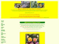 Weddings, Mini Plants, Dish gardens and gifts, Unique  Weddings, Mini Plants, Dish gardens and gifts, Unique