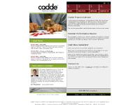 Cadde Financial Ltd : Services Cadde Financial Ltd : Services
