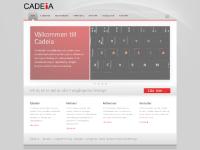 Cadeia – Konsulter inom Business Intelligence Cadeia – Konsulter inom Business Intelligence