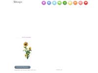 Cafe Santropol Montreal Cafe Santropol Montreal