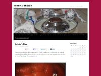 Kennel Cahabas | Dalmatiner Kennel Cahabas | Dalmatiner