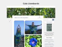 liten calallombards.se skärmbild liten calallombards.se skärmbild