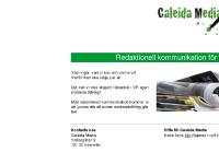 liten caleidamedia.se skärmbild liten caleidamedia.se skärmbild