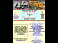 calflora.net Wildflowers of Southern California, wildflowers, flowers