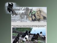 Kennel Caliburns Kennel Caliburns