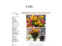 liten calic.blogg.se skärmbild liten calic.blogg.se skärmbild
