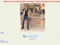Pawel Rawicki, Calisia M&aring;leri och Bygg - Nacka