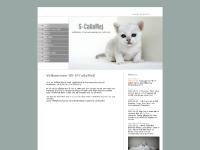 Våra Katter Våra Katter