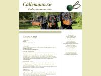 callemann.se Sara, Cairo, Posh callemann.se Sara, Cairo, Posh