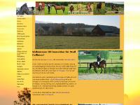callimac.se Stall Callimac, Häst, ponny callimac.se Stall Callimac, Häst, ponny