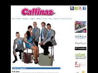 liten callinaz.se skärmbild liten callinaz.se skärmbild