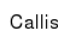 liten callisto.se skärmbild liten callisto.se skärmbild