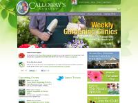 Home | Calloways Nursery Home | Calloways Nursery