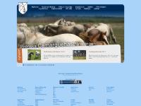 camarguehast.se Rasbeskrivning, Hästar i Sverige, Equitation