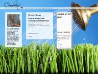 Skattedeklarationen 12 december Skattedeklarationen 12 december