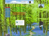 wet cleaning, wedding gown cleaning, Shirt laundry, links wet cleaning, wedding gown cleaning, Shirt laundry, links