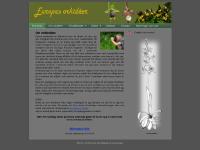 Europas orkidéer inledning Europas orkidéer inledning