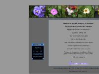 cammisdesign.se webbdesign, grafik, webdesign cammisdesign.se webbdesign, grafik, webdesign