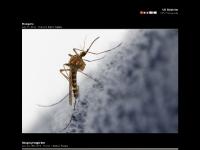 Ulf Sjöström | 80% Photography Ulf Sjöström | 80% Photography