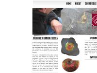 canadafossils.com Alaskan Mammoth, Alberta Ammonite, Ammolite canadafossils.com Alaskan Mammoth, Alberta Ammonite, Ammolite