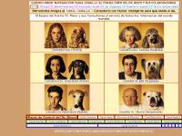 canal-canalla.es critica, cronica, politica canal-canalla.es critica, cronica, politica