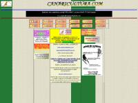 pagina principal pagina principal