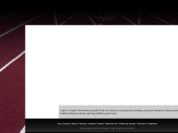 canchas-deportivas.com field turf, plexipave, conica canchas-deportivas.com field turf, plexipave, conica