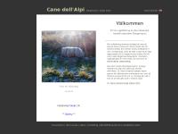 canedellalpi-bergamasco canedellalpi-bergamasco