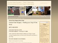  The Solution – TTA, So what happens when the CCL ruptures?, Tibial Tuberosity Advancement (or TTA), Why the TTA method is preferable