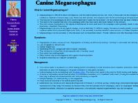 Canine Megaesophagus, Aspiration Pneumonia & Myasthenia Gravis
