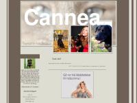 liten cannea.blogg.se skärmbild liten cannea.blogg.se skärmbild