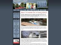 Canoe and Kayak the Loxahatchee River! - Canoe Outfitters of Florida Canoe and Kayak the Loxahatchee River! - Canoe Outfitters of Florida