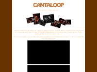 liten cantaloop.se skärmbild