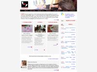 Pinturas para manualidades, cerámica y artesanía Cantek Pinturas para manualidades, cerámica y artesanía Cantek