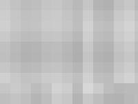 Cantorums Mansk Cantorums Mansk