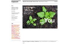 capacent.se Capacent, Services, Careers