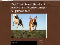 Capa Tosta Kennel Breeder of american Staffordshire Terrier -All purpose dogs Capa Tosta Kennel Breeder of american Staffordshire Terrier -All purpose dogs