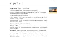 liten capeeast.se skärmbild