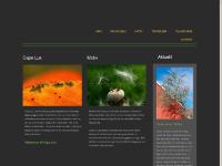 capelux.se capelux.se