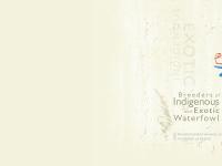 Cape Waterfowl - Breeders of Indigenous and Exotic Waterfowl